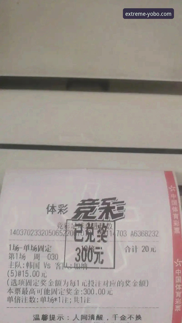 Yobo体育平台高效竞猜使用教程：从新手到高手的完整操作指南